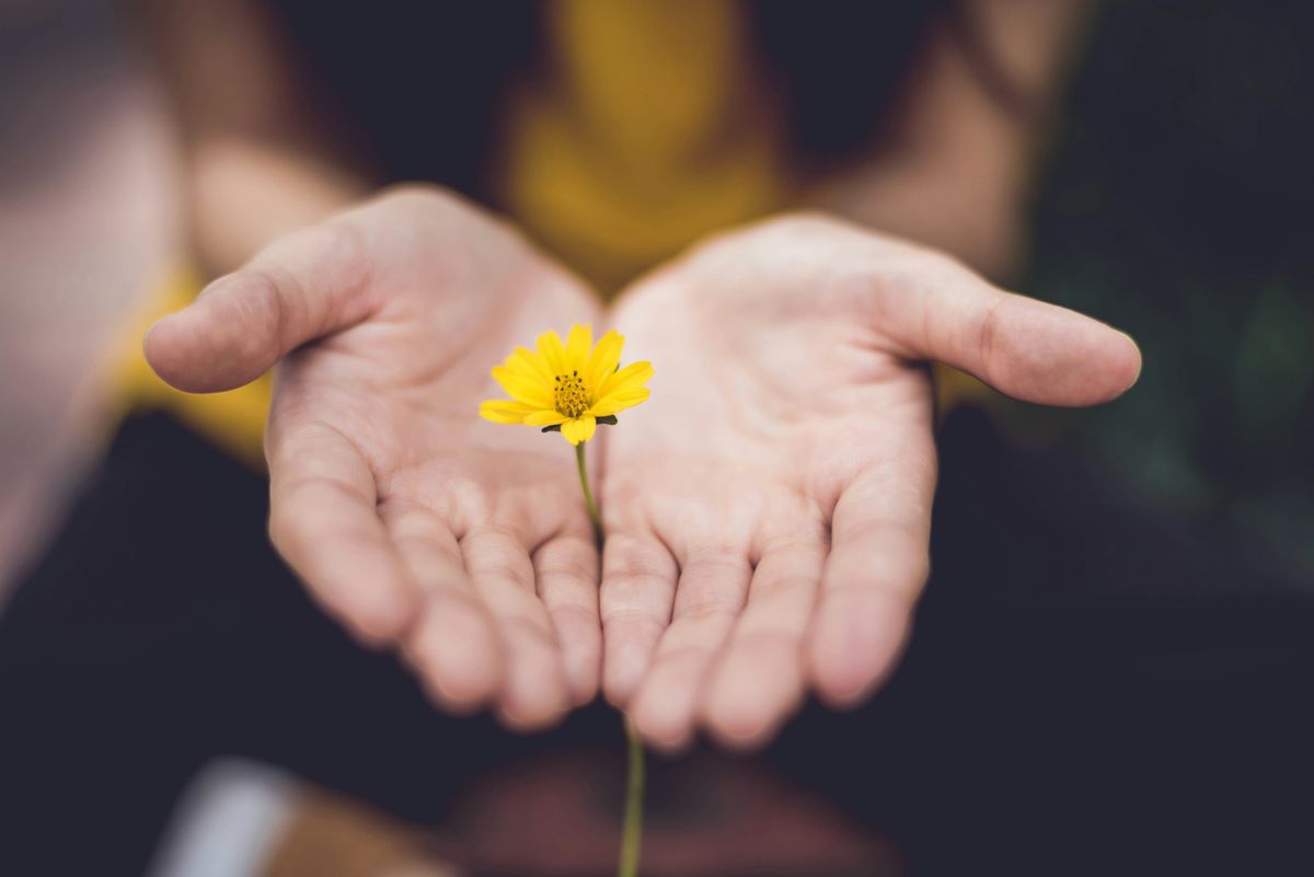 Die therapeutische Beziehung als zentraler Aspekt der Bindungstheorie